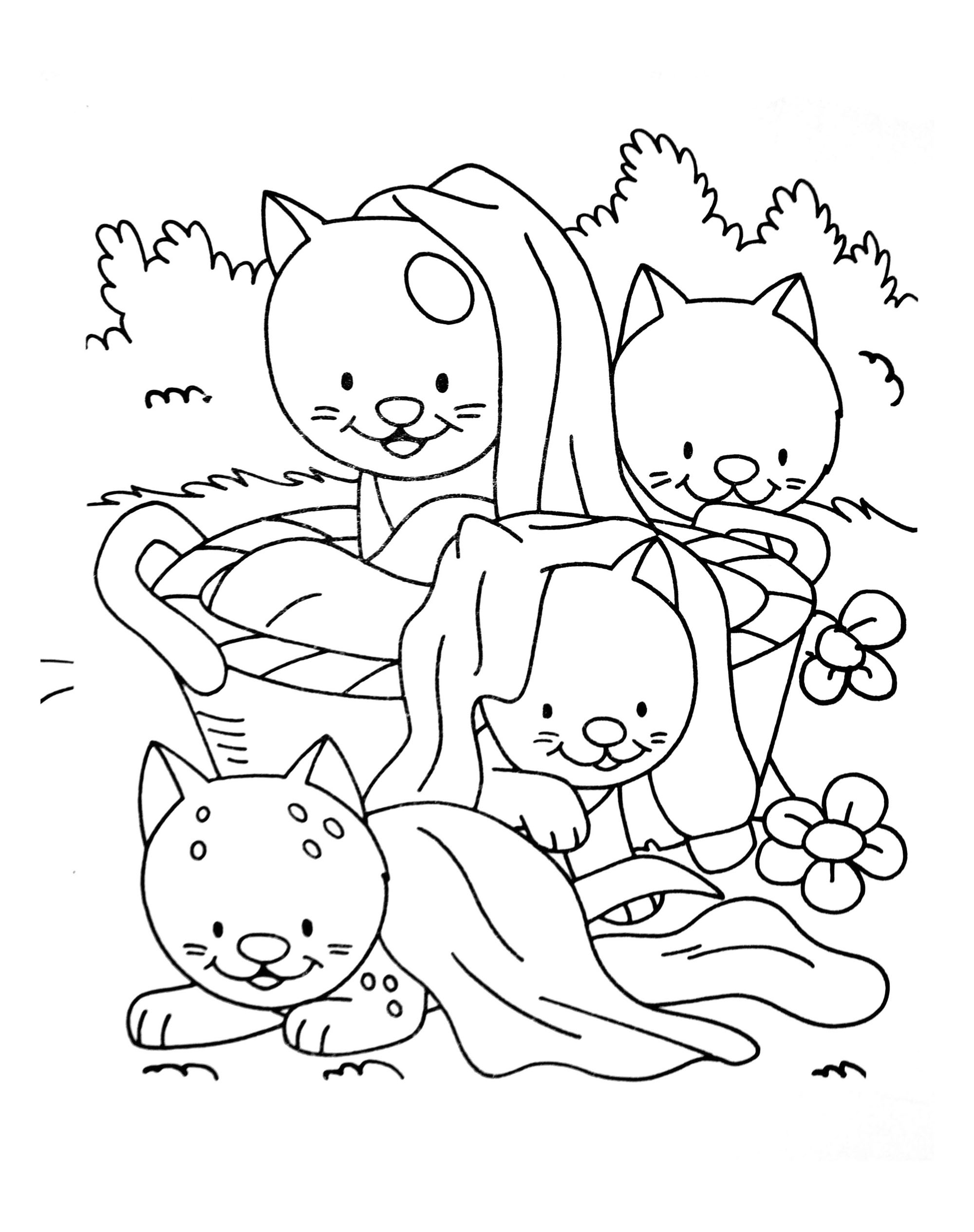 Раскраска из серии Кошки