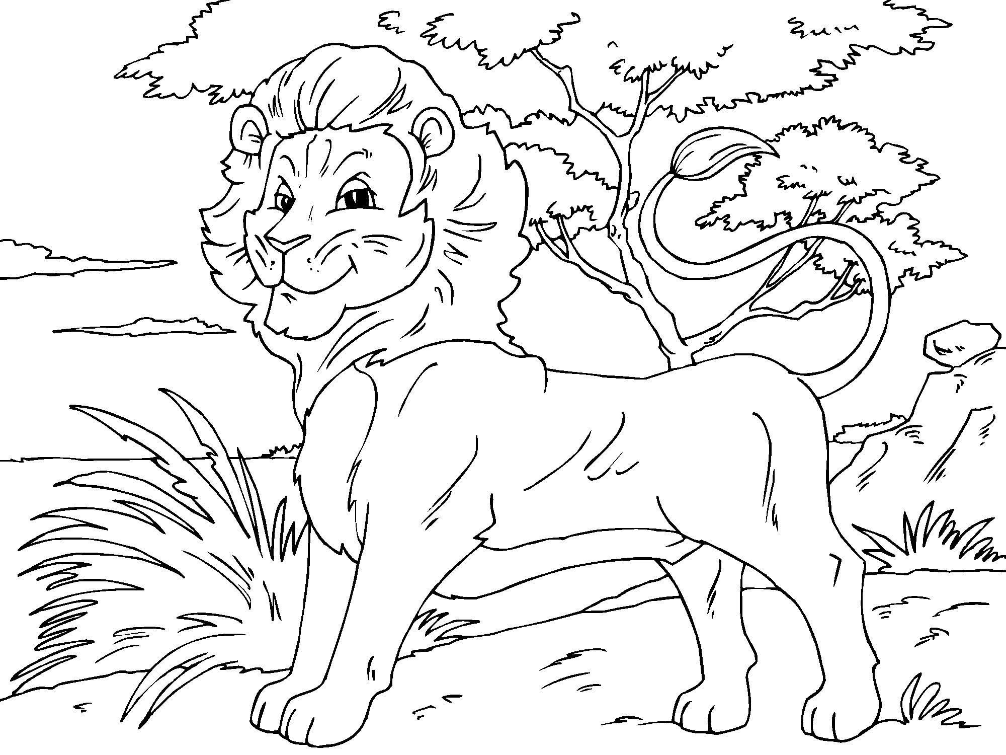 Раскраска из серии Львы