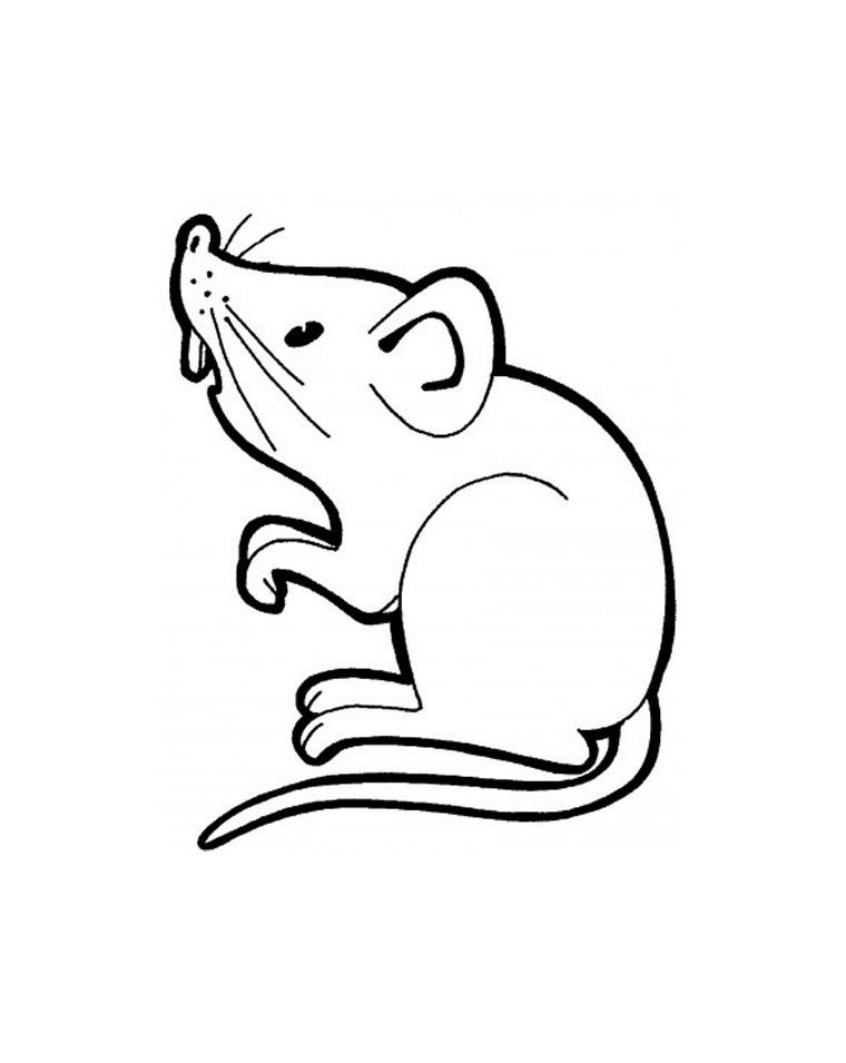 Раскраска из серии Мыши