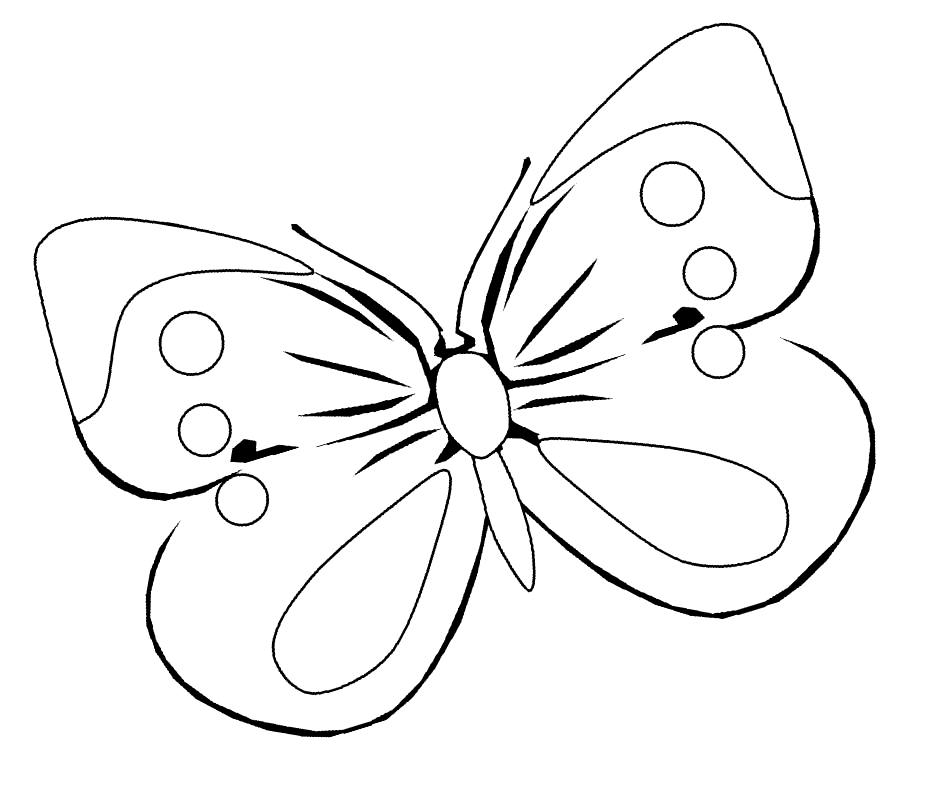 Раскраска из серии Бабочки